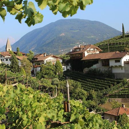 Weingut Eberlehof Apartment Bolzano Ngoại thất bức ảnh