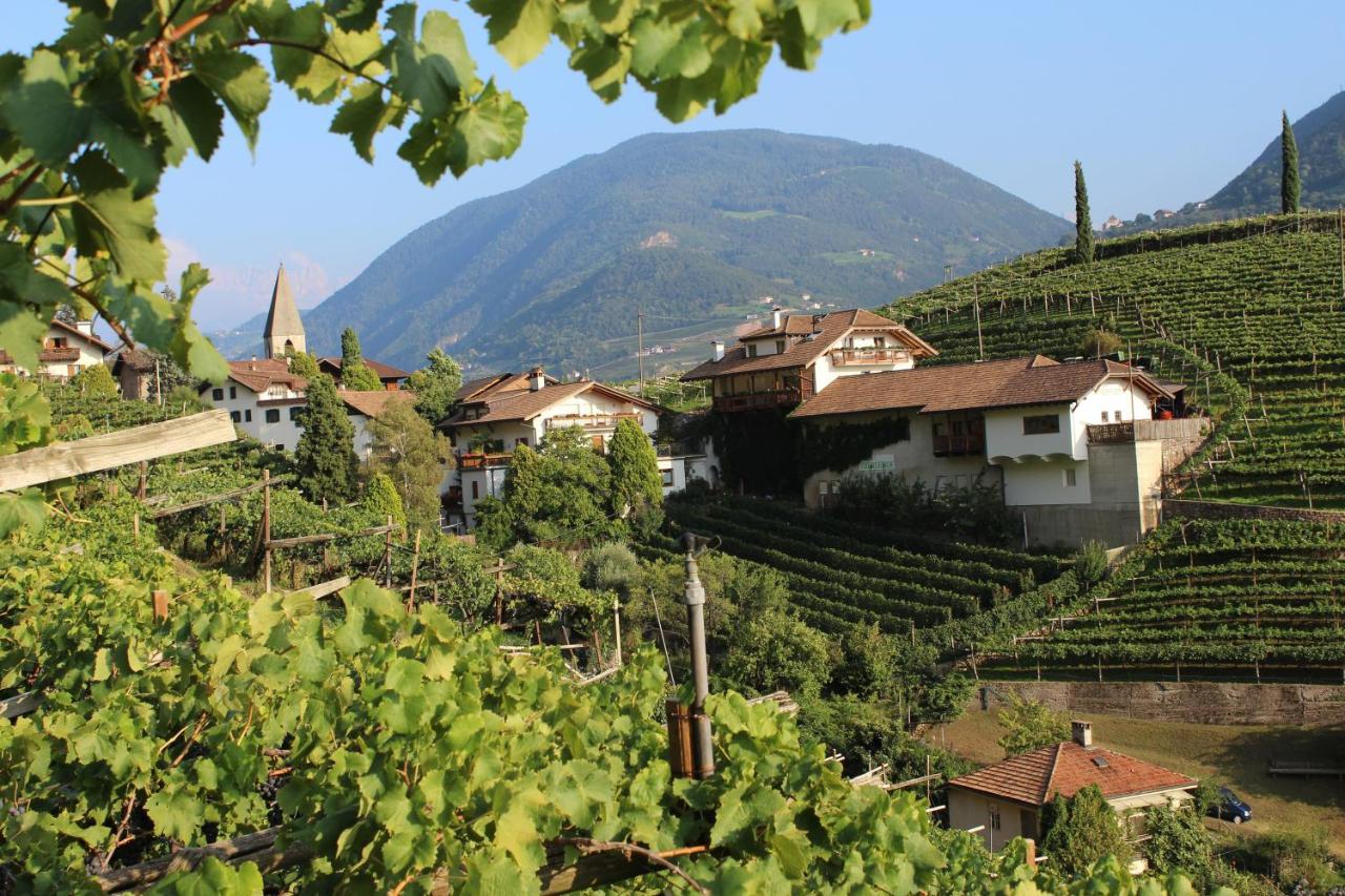 Weingut Eberlehof Apartment Bolzano Ngoại thất bức ảnh