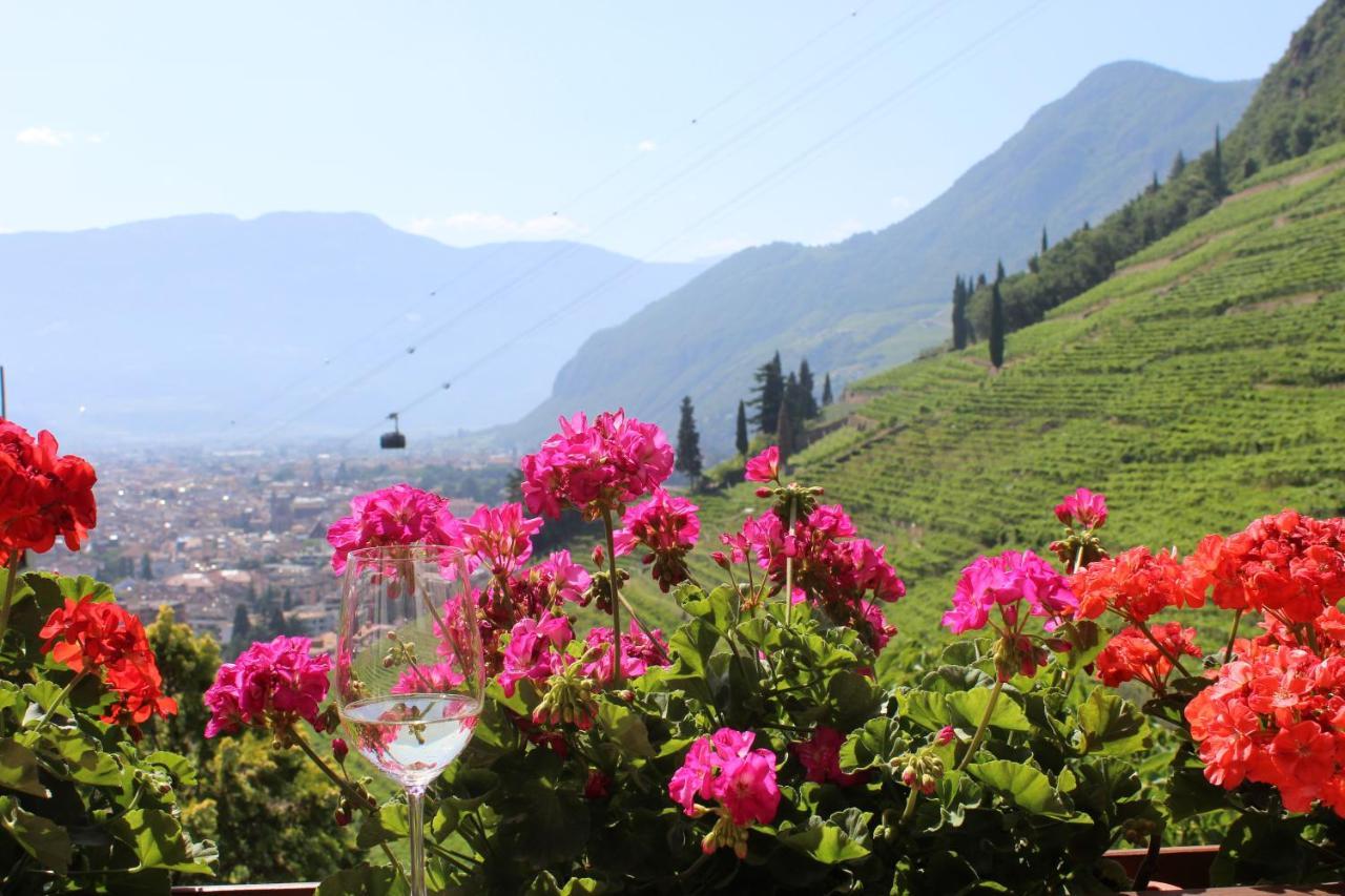 Weingut Eberlehof Apartment Bolzano Ngoại thất bức ảnh