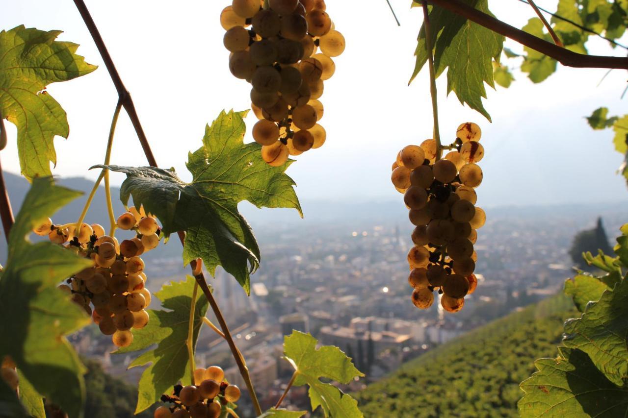 Weingut Eberlehof Apartment Bolzano Ngoại thất bức ảnh