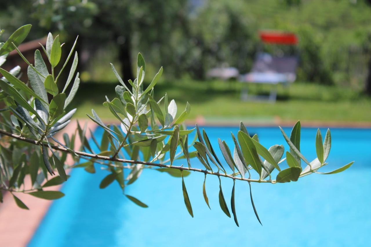 Weingut Eberlehof Apartment Bolzano Ngoại thất bức ảnh
