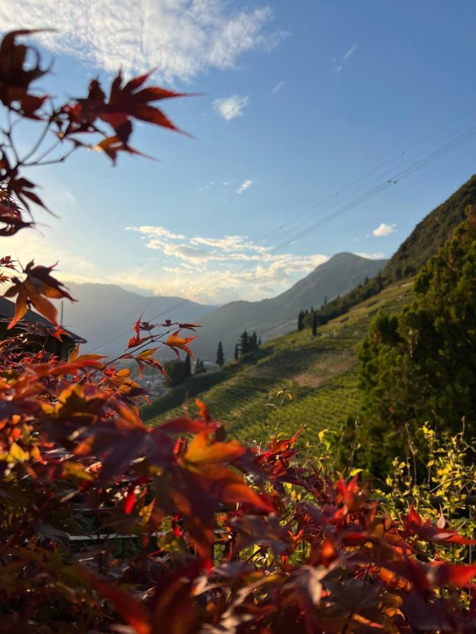 Weingut Eberlehof Apartment Bolzano Ngoại thất bức ảnh