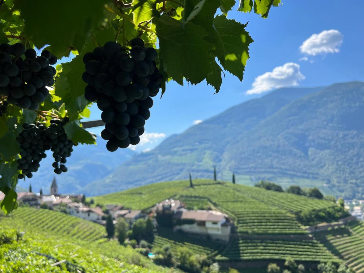 Weingut Eberlehof Apartment Bolzano Ngoại thất bức ảnh