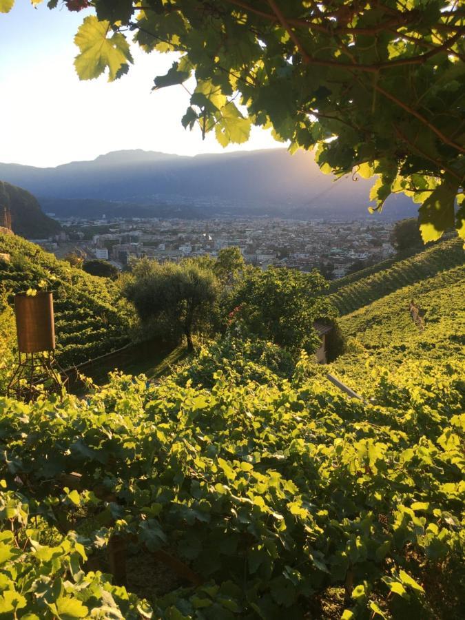 Weingut Eberlehof Apartment Bolzano Ngoại thất bức ảnh